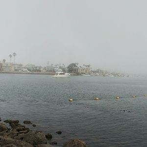 Meet your Posher, Judith